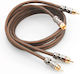 Focal Caber1 Er-1 Rca Cable 1m