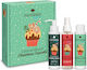 Messinian Spa Caramel Biscuit Christmas Cupcake Skin Care Set for Body Cleaning & Moisturizing 3pcs