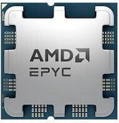 AMD Epyc (German translation: Epyc) 4465P 3.4GHz Tablett AMD Epyc (German translation: Epyc) 4465P 3.4GHz Tablett