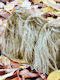 Fur Women's Handbag Crossbody Gold