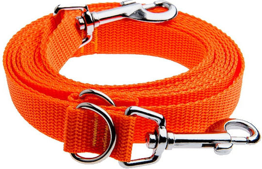4wild.eu Hundeleine/Führleine Riemen in Orange Farbe