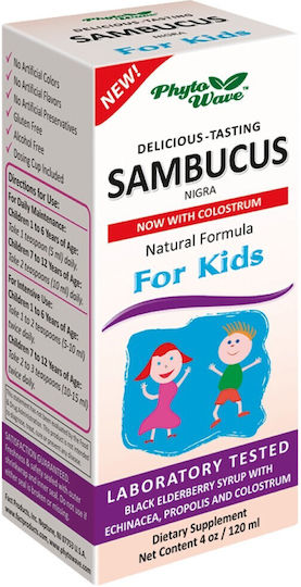 Sambucus 120 ml