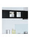 Black Beech 80x31x40buc