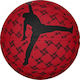 Jordan 2.0 Graphic Mini Mingea de baschet