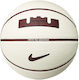 Nike Playground 8p 2.0 L James Μπάλα Μπάσκετ