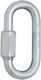 Edelrid Screwlink 8mm Silver