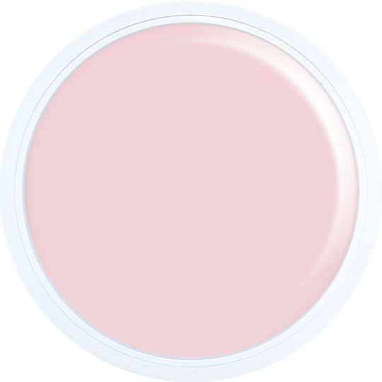 Alezori Nail Acrygel Natural NPJ 17gr