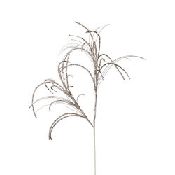 Zen Collection Sucursala
