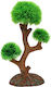 Synthetic Wooden Bonsai Hobby Aqua Tree 3 15 X 6 X 26 Cm