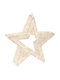 TnS Christmas Decorative Illuminated Plastic Star Warm White 3x3x38cm