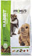 Benelux Rabbit Primus Rabbits Benelux 5400351024536