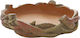 Hobby Feeder/Waterer for Reptiles Terrarium