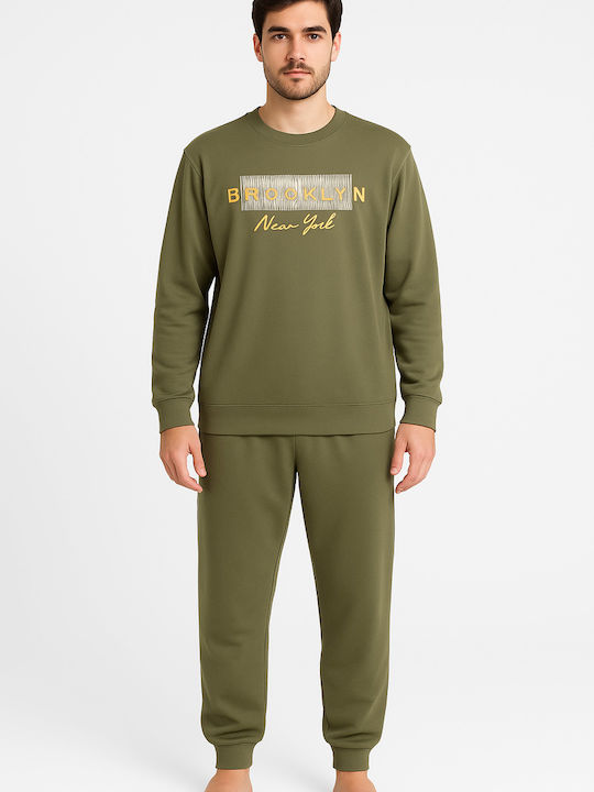 Lion Olive