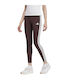 Women's Legging High Waisted Brown