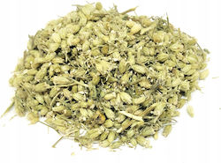 Agrest Măceș 50gr