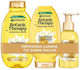 Garnier Botanic Therapy Hair Treatment Set for Colored Hair with Shampoo, Conditioner and Serum 3pcs
