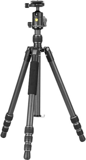 Vanguard Kamerastative aus Carbonfaser mit Kugelförmiger Kopfart bis 149,5cm und Maximaler Belastung 5kg
