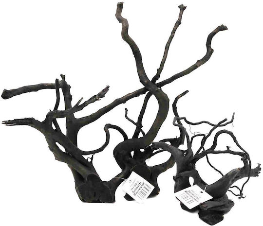 Aquadeco Black Moor Wood L 40-45cm Per Piece