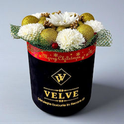 Velve Floare Velve Floare