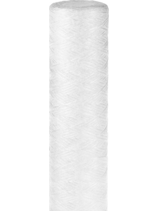 ASPIS Ersatz-Wasserfilter Zentrales Wasserfiltersystem 10" 20 μm (Mikrometer)