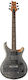 PRS Guitars Chitară Electrică cu Aranjamentul de Microfoane S