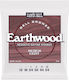 Ernie Ball Earthwood Set of Bronze Acoustic Gui...