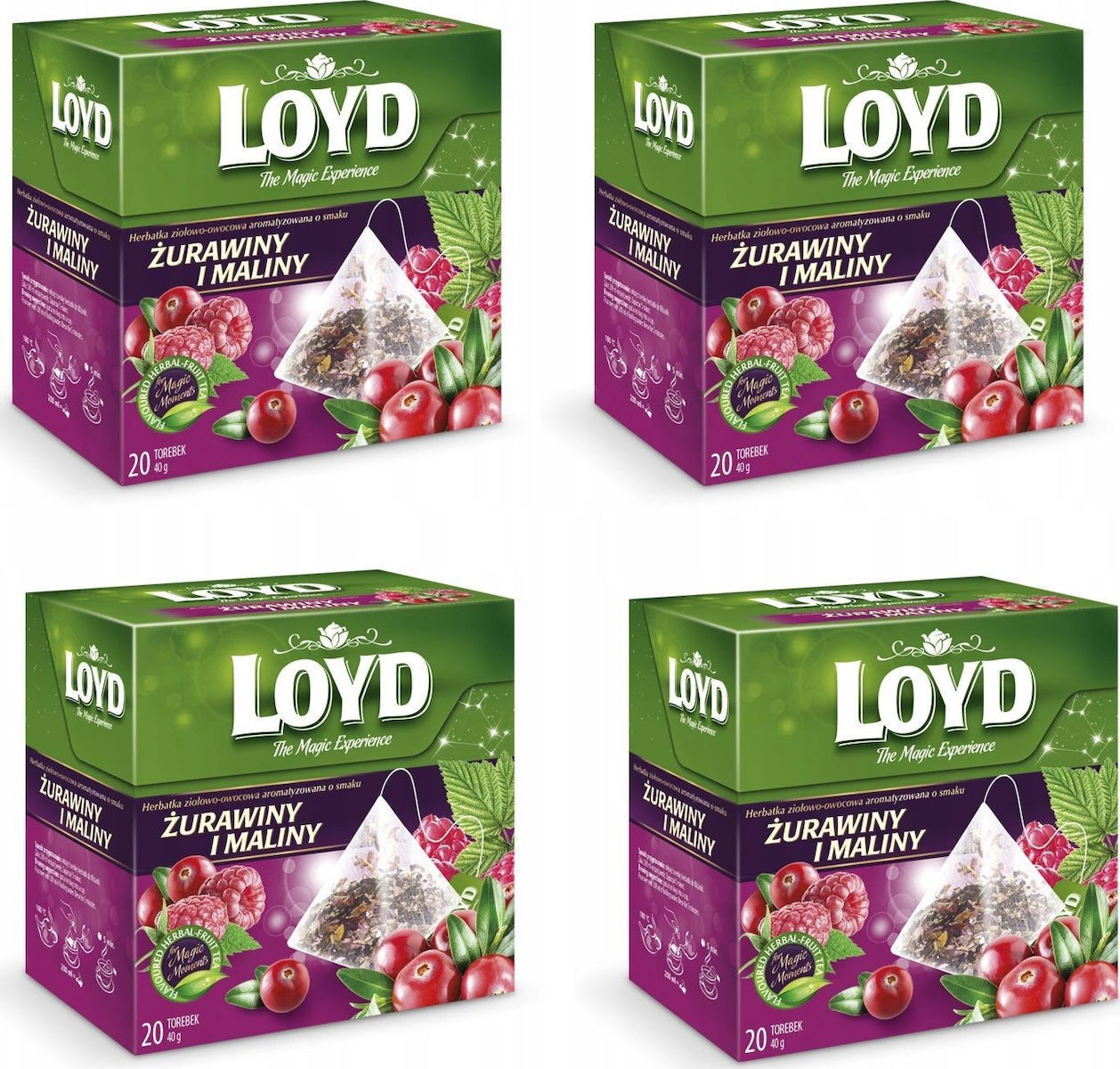 Loyd pyramida Warming Tea višně s kakaovými boby a chilli 20x2g | BILLA