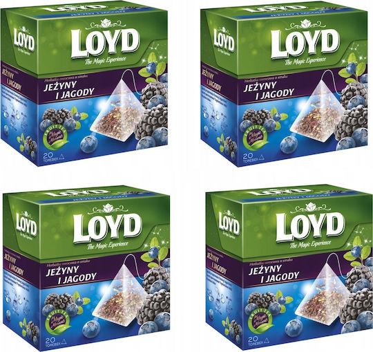 Loyd Loyd Herbata Blueberry Blackberry 80 Pyramid Tea Bags