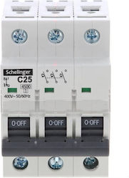 3p АС 25А Schelinger A02-g7-3p-c25