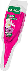 Potion Orchids 40ml-disp