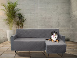 Doggy Dolly Γκρι