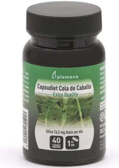 Full Health Plameca Cola de Caballo Horsetail 350mg 40 veg. caps