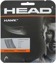 Head Μονή Χορδή