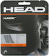 Head Single String