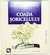 Dacia Plant Αχιλλέα 50gr