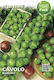 Seeds Cabbage Brussels