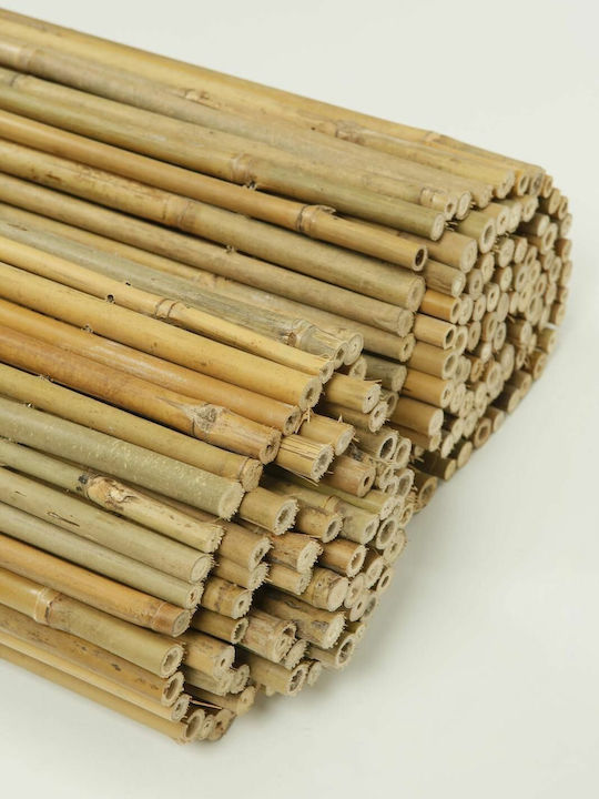 Ra-Ba Gard de Bambus cu Întregul Reed 2.5x3m
