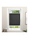 Window Roller Blind 60x150 Grace Plissee D.Gray 526062 60wX150h
