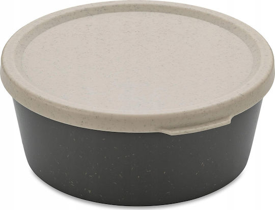 Koziol Lunchbox Kunststoff 890ml 1Stück