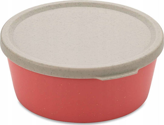 Koziol Lunchbox Kunststoff 890ml 1Stück
