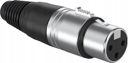 Procab VC3FX XLR Weiblich zu XLR Weiblich