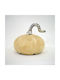 Dovleac Decorativ Φ11x11 K-m A55100090 Φ11x11