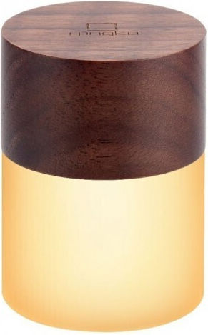 Gingko Decorative Lamp Multicolour