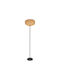 Eglo Sheldon Stehlampe mit Lampenbirnensockel für E27