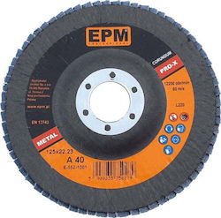 Epm Korund Schleifscheiben Epm Pro-x Körnung 60 125mm E-552-1002