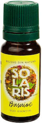 Solaris Plant Ulei Esențial Busuioc 10ml Solaris Plant Ulei Esențial Busuioc 10ml