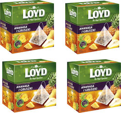 Loyd Tea 80 Bags