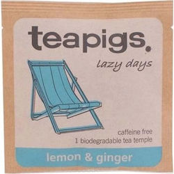 Teapigs Ceai Ginger 1buc Teapigs Ceai Ginger 1buc