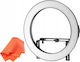 Falcon Eye Ring Lamp Led Ring Lamp Falconeyes Dvr-512dvc 32w 3000-5600k