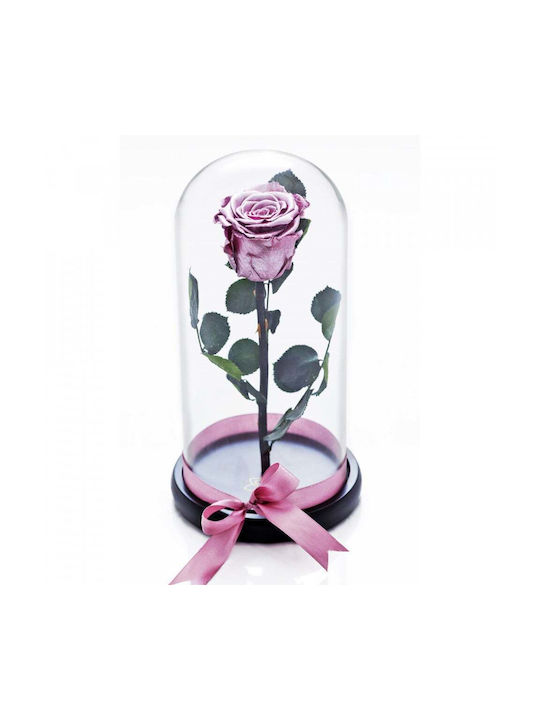Kryokonservierte Rose In Glasglocke Mit Schwarz...